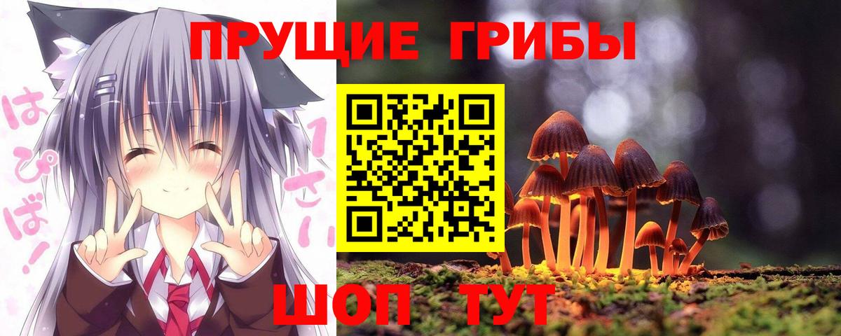 Псилоцибиновые грибы мицелий  Вход с VPN  Архангельск 