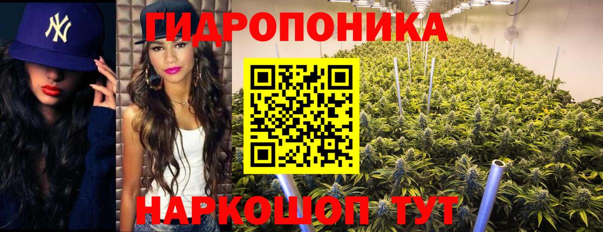 Шишки марихуана Amnesia Архангельск
